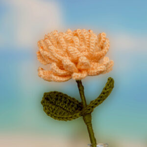 handmade_keychain_flower_waratah